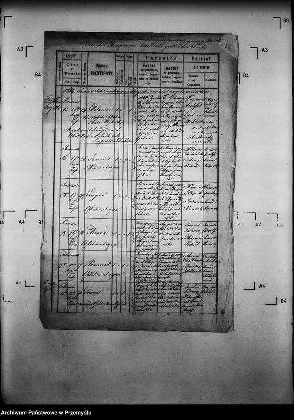 image.from.unit.number "[Kopie ksiąg metrykalnych parafii Jaworki z filiami Biała Woda, Czarna Woda (dekanat Muszyna)]"