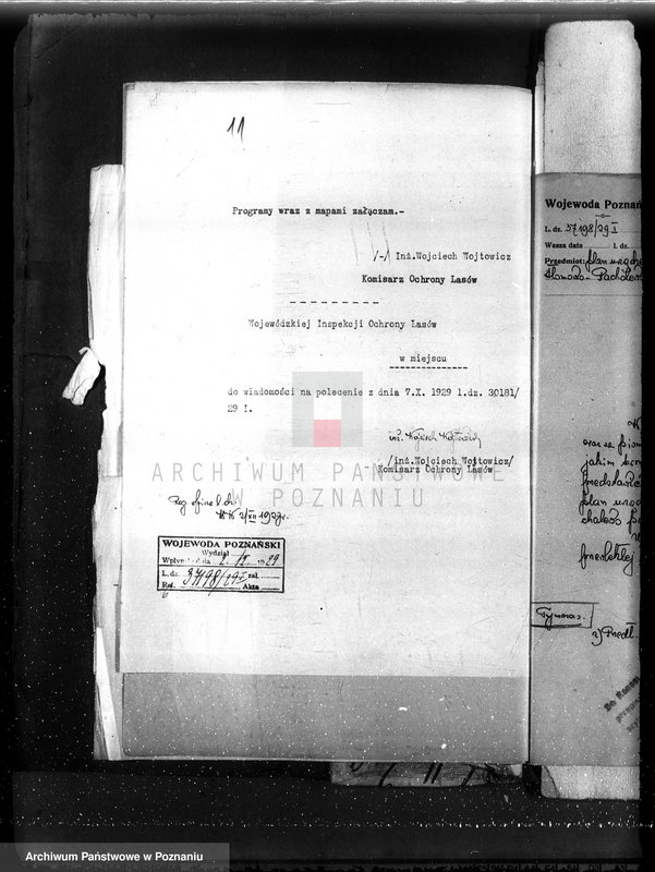 Obraz 15 z jednostki "Las majętność Słomowo-Pacholewo powiat obornicki"