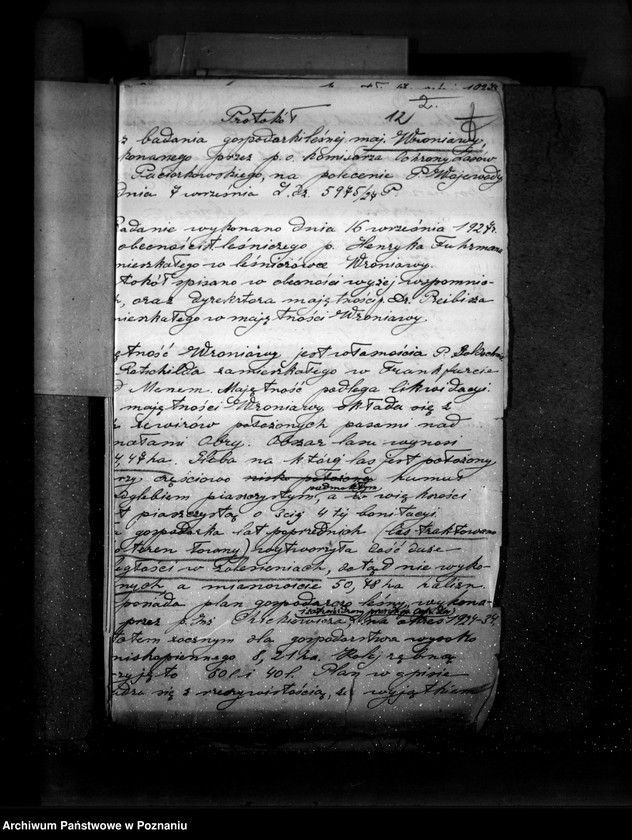 Obraz 16 z jednostki "Majętność leśna Wroniawy powiat wolsztyński"