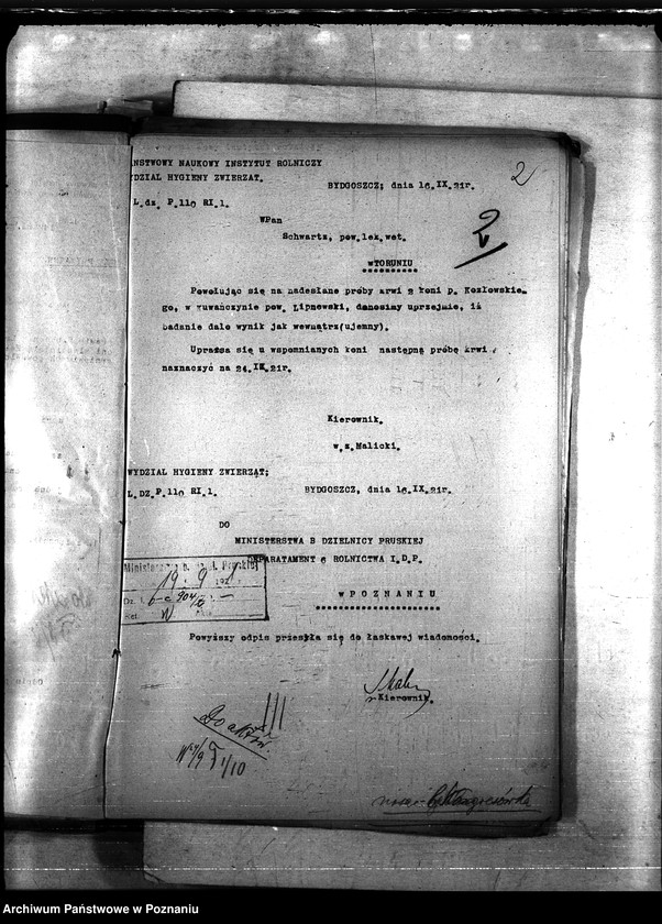 Obraz 6 z jednostki "Nosacizna - b. Kongresówka"