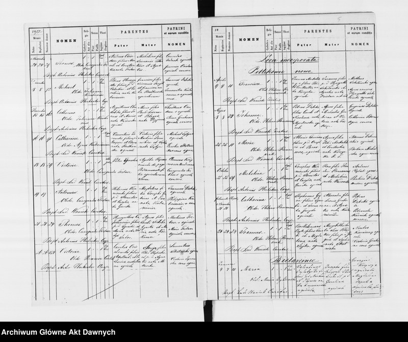 image.from.unit.number "Parafia: Petlikowce Stare. Dekanat: Podhajce. Księga metrykalna urodzeń, ślubów i zgonów dla wsi: Petlikowce Stare, Petlikowce Nowe, Bielawińce, Kurdwanówka, Ossowce, Przewłoka, Bobulińce*, Kujdanów*."