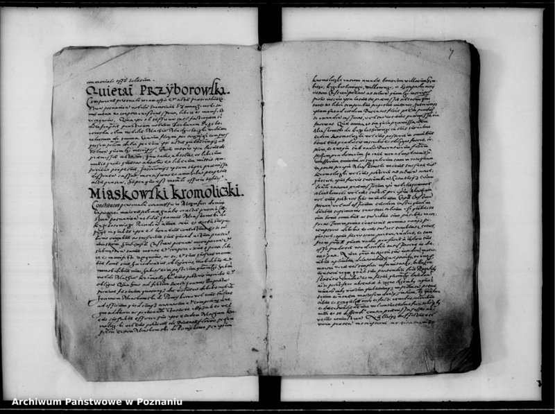 Obraz 9 z jednostki "Inscriptiones, relationes [inducta]"