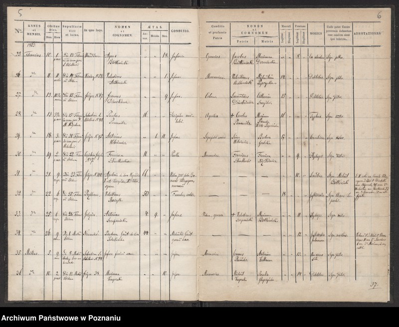 Obraz 4 z jednostki "Księga zgonów"