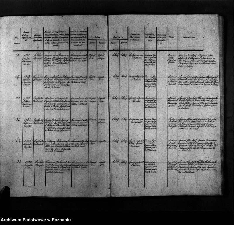 Obraz 8 z jednostki "Duplicatum copulatorum, baptisatorum, mortuorum"