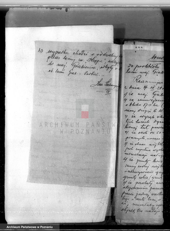 Obraz 14 z jednostki "Majątek Grabienice powiat koniński /nadzór nad gospodarką leśną/"