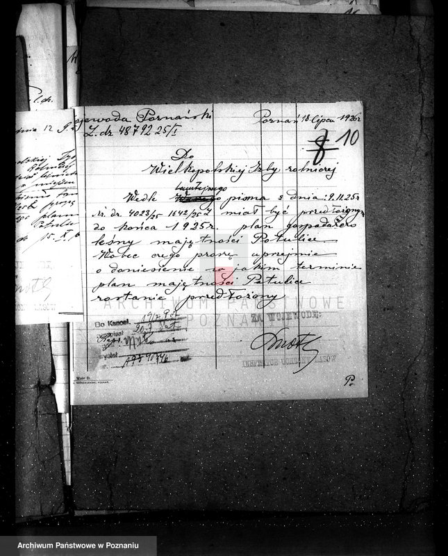 Obraz 14 z jednostki "Majętność leśna Potulice powiat wągrowiecki"