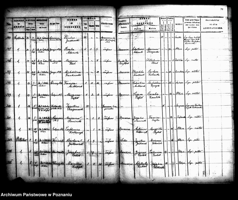 Obraz 19 z jednostki "Księga zgonów"