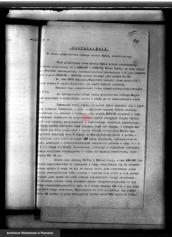 Obraz 14 z jednostki "Lasy miasta Dąbie powiatu kolskiego"