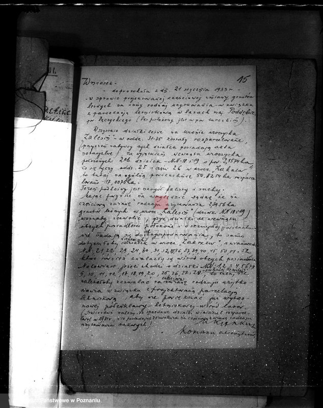 Obraz 19 z jednostki "Częściowa zmiana rodzaju użytkowania 5,83 ha gruntów leśnych w majątku Zalesin powiat turecki"