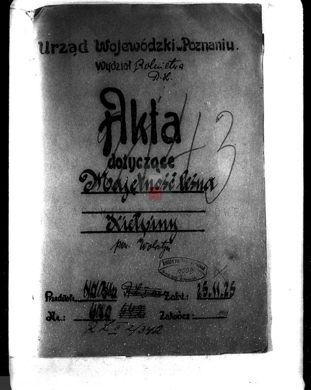 Obraz 5 z jednostki "Majętność leśna Kiełpiny powiat wolsztyński"