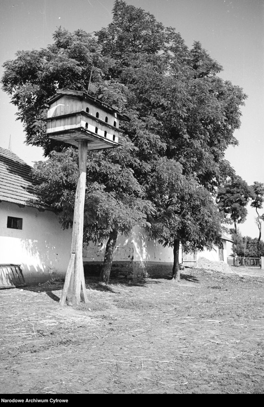 Archiwum fotograficzne Henryka Poddębskiego