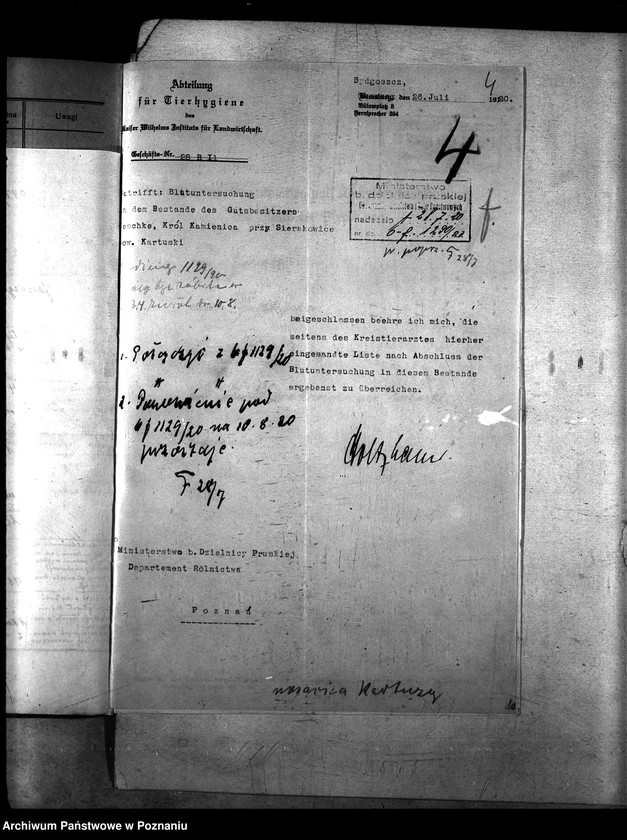 Obraz 8 z jednostki "Nosacizna - Kartuzy"