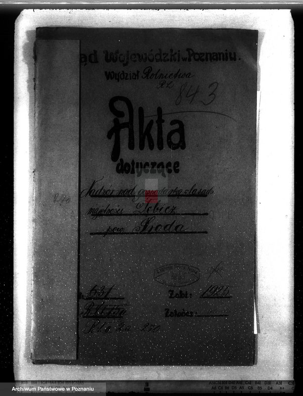 Obraz 4 z jednostki "Nadzór nad gospodarką w lasach majętności Dębicz powiat średzki"