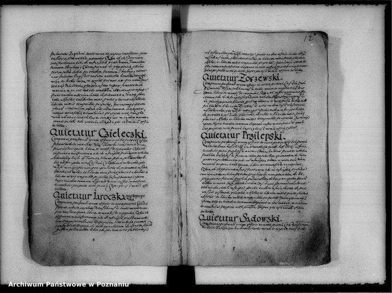 Obraz 15 z jednostki "Inscriptiones, relationes [inducta]"