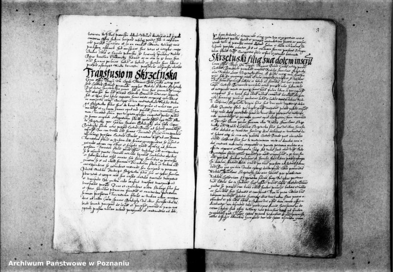 Obraz 8 z jednostki "Inscriptiones [inducta]"