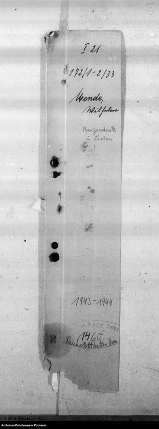 Obraz 4 z jednostki "Mende, Wilhelm - Beigeordneterin Leslau (Włocławek)"