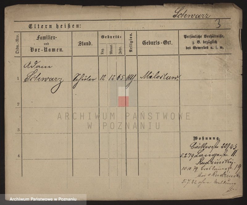 Obraz 9 z jednostki "Szwarc (samotni mężczyźni i kobiety)"
