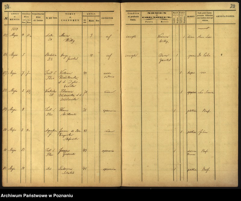 Obraz 17 z jednostki "Księga zgonów"