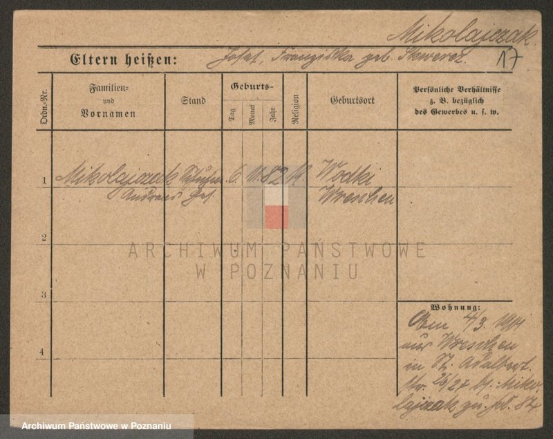 Obraz 19 z jednostki "Mikołajczak (żonaci i wdowy)"