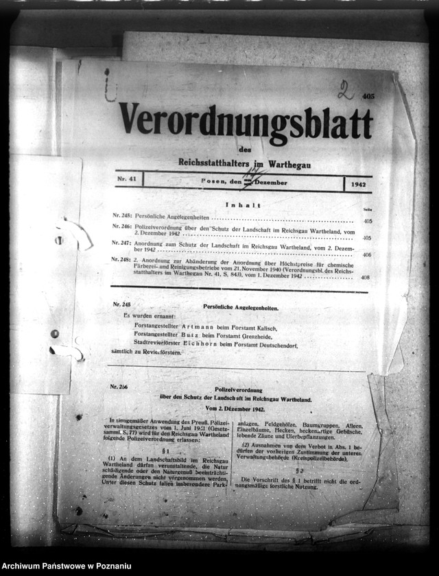 Obraz 6 z jednostki "Verordnungsblatt Nr. 41"