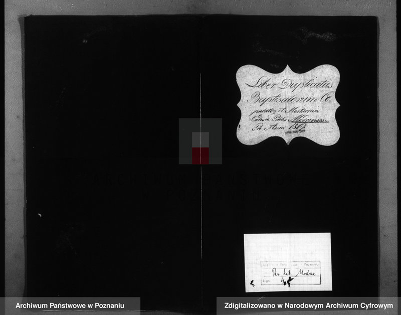 image.from.unit.number "Duplicatus baptisatorum, copulatorum, mortuorum"