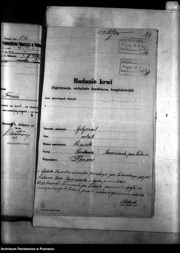 Obraz 18 z jednostki "Nosacizna - Lubawa"