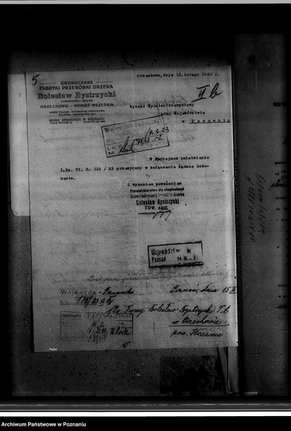 Obraz 9 z jednostki "Eksploatacja lasów i fabryka przeróbki drzewa w Orzechowie powiat wrzesiński B. Bystrzycki nr woj. 99"