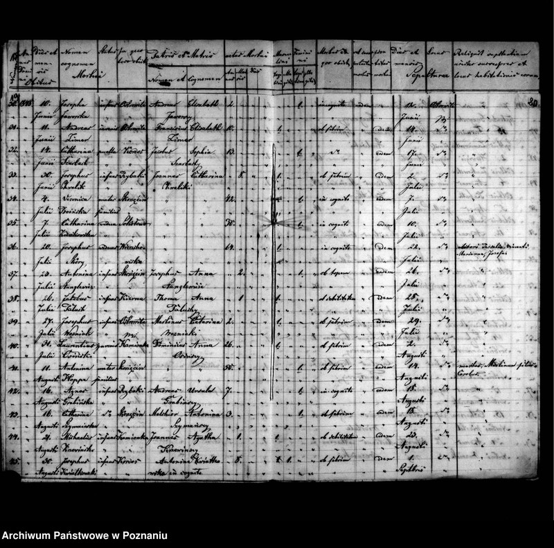 image.from.unit.number "Duplicatus baptisatorum, copulatorum, mortuorum"