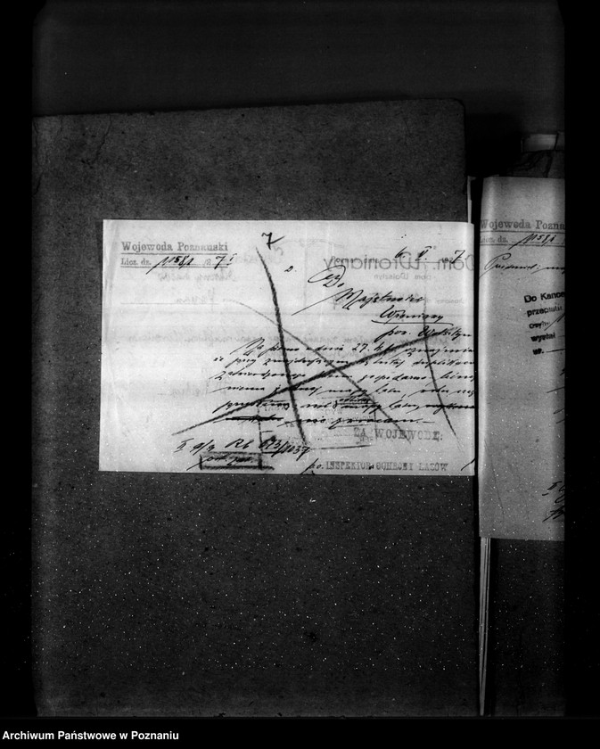 Obraz 11 z jednostki "Majętność leśna Wroniawy powiat wolsztyński"