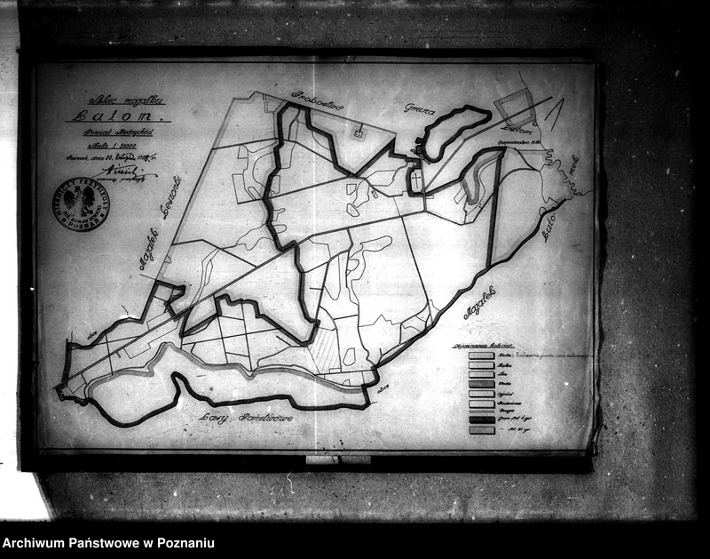 Obraz 6 z jednostki "Majątek Lutom powiatu międzychodzkiego parcelacja"