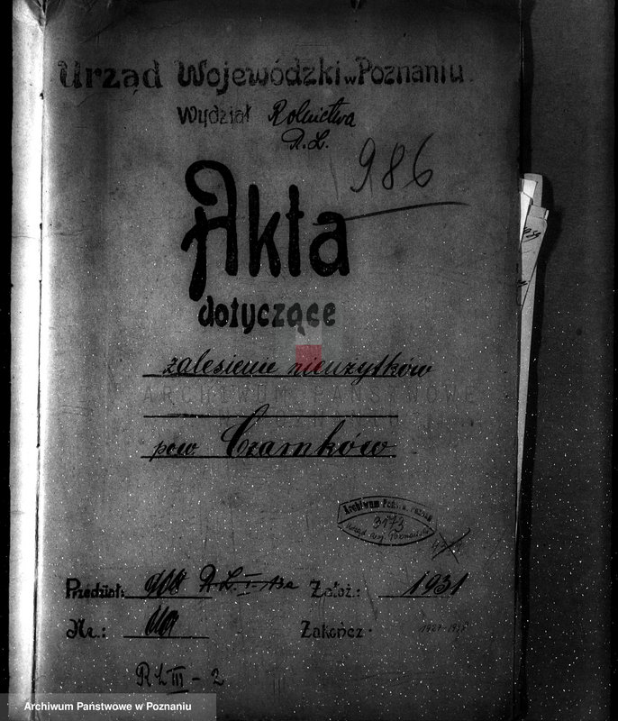 Obraz 4 z jednostki "Zalesianie nieużytków w powiecie czarnkowskim"