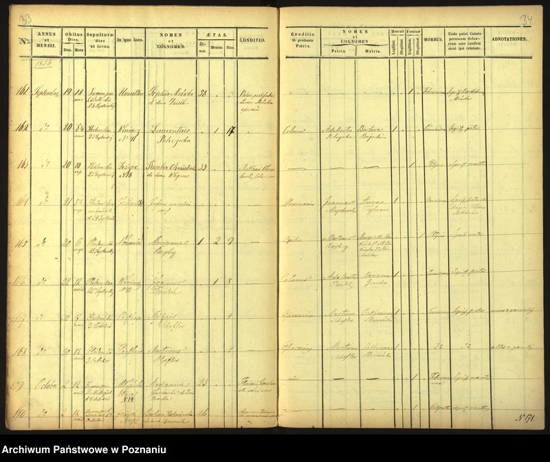 Obraz 20 z jednostki "Księga zgonów"