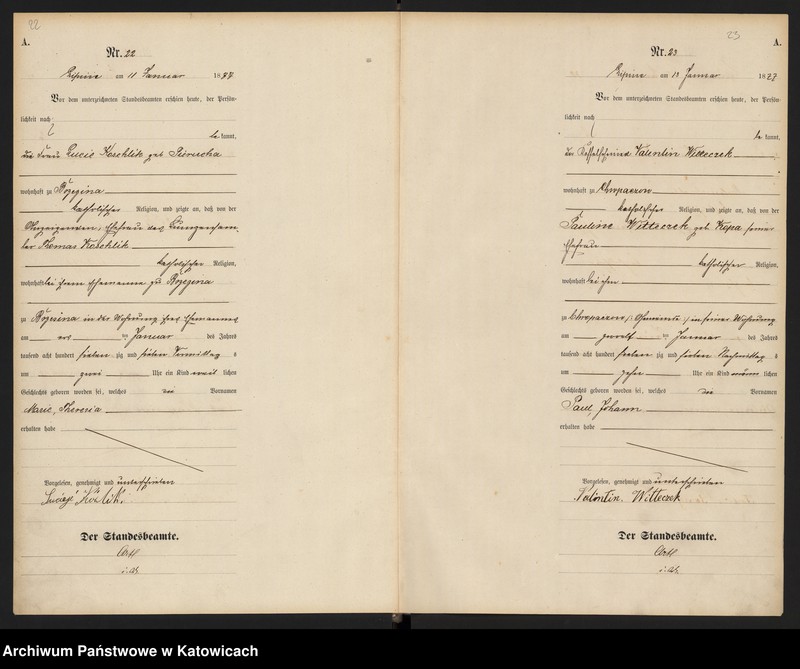 image.from.unit.number "Księga urodzeń T.1 nr 1-356"