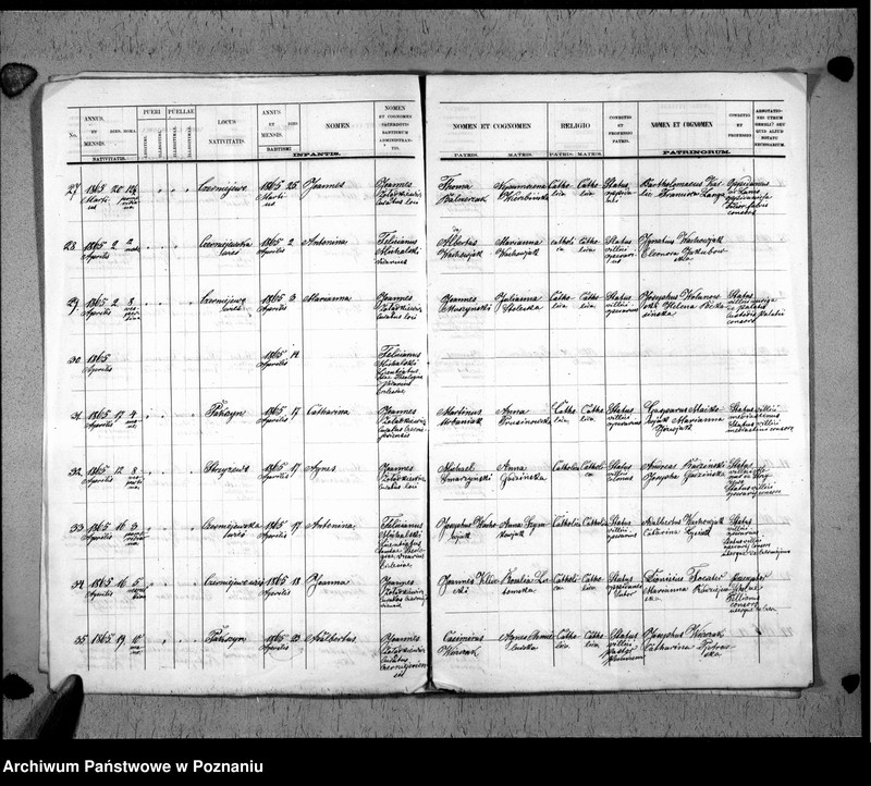 Obraz 7 z jednostki "Liber baptisatorum"