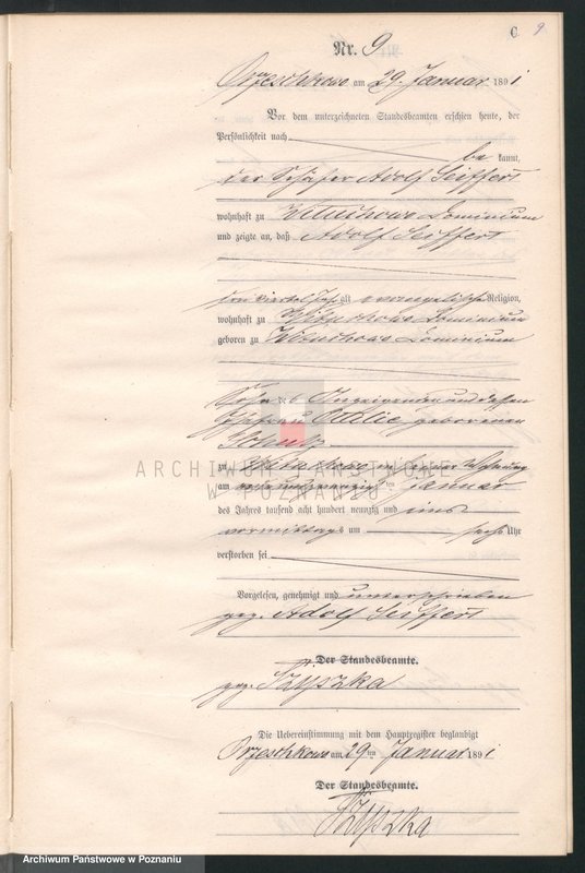 Obraz 12 z jednostki "Księga zgonów"