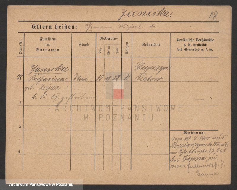 Obraz 18 z jednostki "Janic - Janicki"