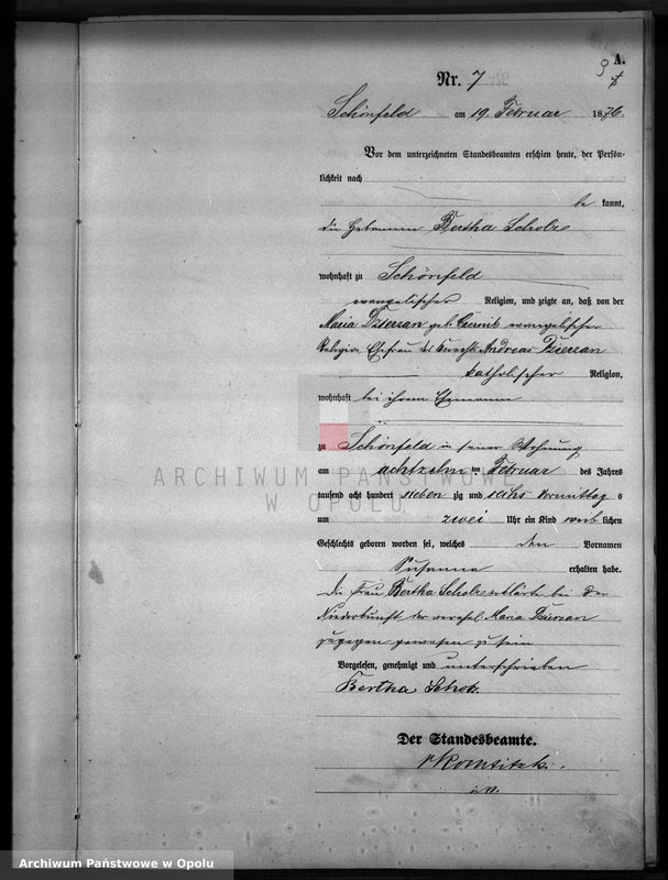 image.from.unit.number "Geburts-Haupt-Register Standesamts Schönfeld pro 1876"
