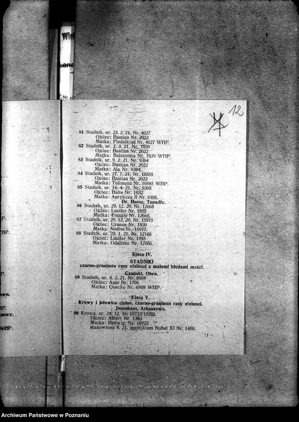 image.from.unit.number "Sprawy szczegółowo-administracyjne Aukcje inwentarza i wystawa"