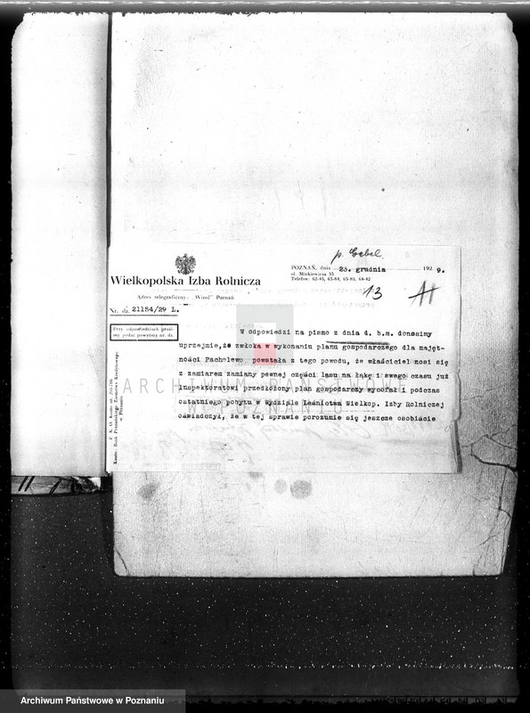 Obraz 17 z jednostki "Las majętność Słomowo-Pacholewo powiat obornicki"