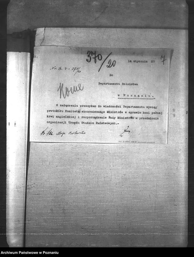 Obraz 11 z jednostki "Konie"