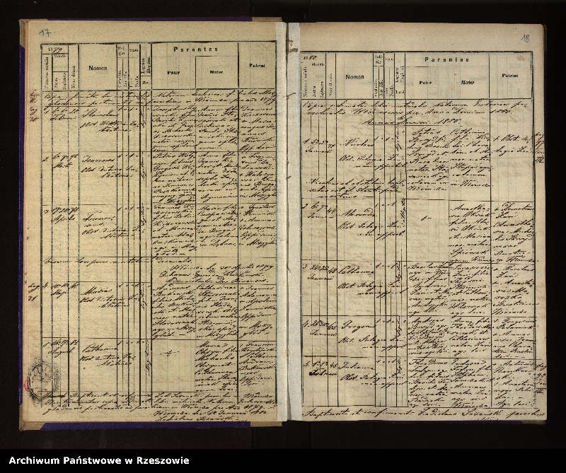 Obraz 13 z jednostki "Księga urodzeń, małżeństw i zgonów dla miejscowości Hłomcza, Łodzina, Mrzygłód"