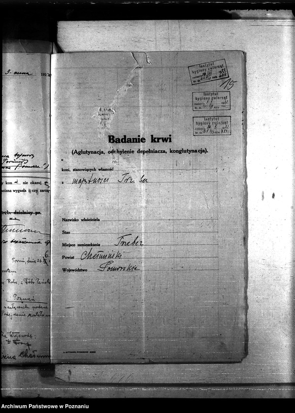 Obraz 19 z jednostki "Nosacizna - Chełmno"