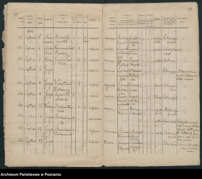 Obraz 19 z jednostki "Księga zgonów"