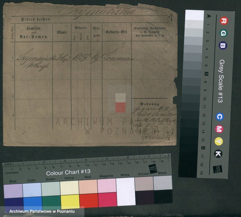 Obraz 5 z jednostki "Szymański (samotne kobiety od Maria)"