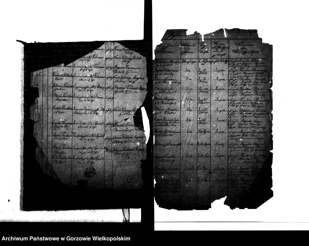 image.from.unit.number "Duplikate der Kirchenbücher von der Parochie Altensorge: Altensorge (Glinik), Blockwinkel (Bolemin), Plonitz (Płonica), Hagen (Dziersławice), Bürgerbruch (Białobłocie), Kattenhorst (Orzelec), Liebenthal (Kołomęt), Schönewald (Krasowiec)"