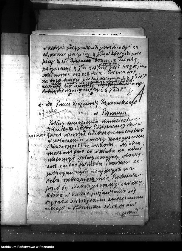 Obraz 11 z jednostki "Sprawy ogólne Wykazy chorób zaraźliwych,- księgosusz -"