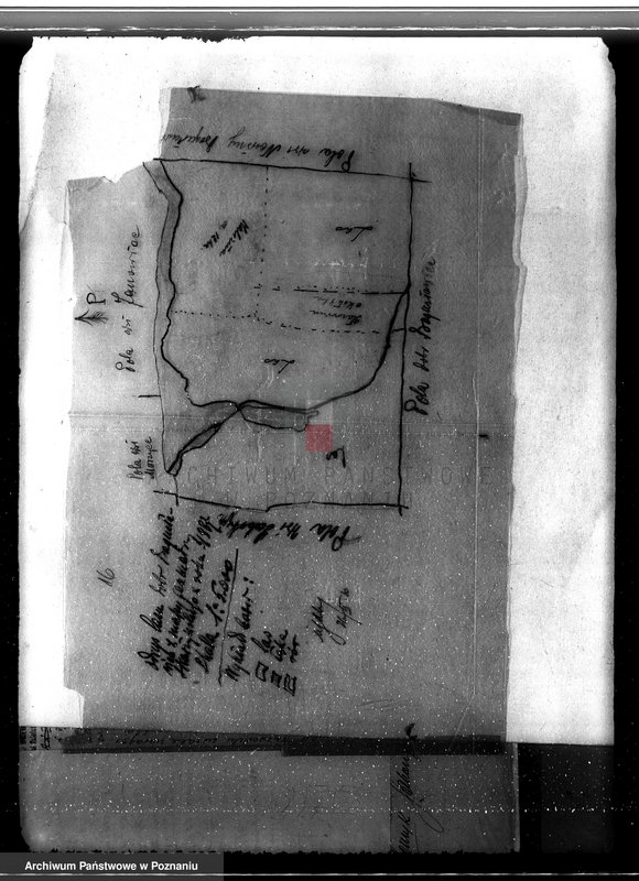 Obraz 20 z jednostki "Sprawa wyłączenia obszarów leśnych z majątku Bogusławice powiatu kolskiego"