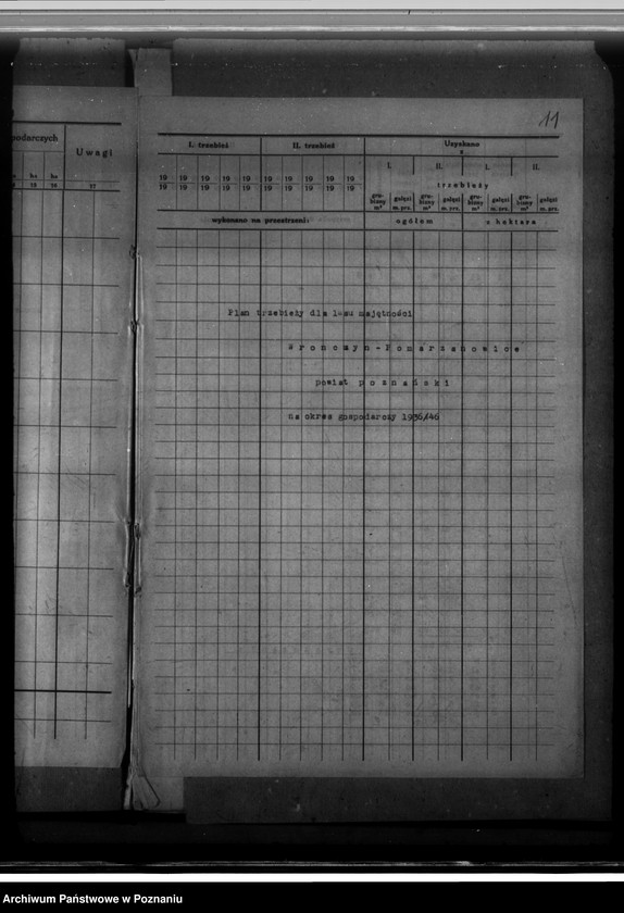 Obraz 15 z jednostki "Program urządzenia gospodarstwa leśnego dla lasu majętności Wronczyn-Pomarzanowice powiat poznański 1936-1946"