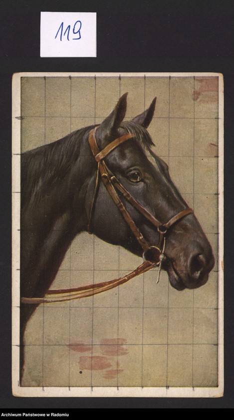 Obraz 1 z kolekcji "Nie tylko w galopie..."