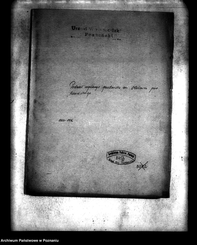 Obraz 4 z jednostki "Podział wspólnego pastwiska wsi Oleśnica powiatu konińskiego"